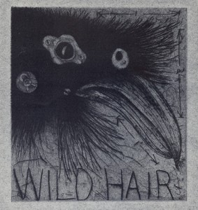 William Bernard Schade : «Wild hair»