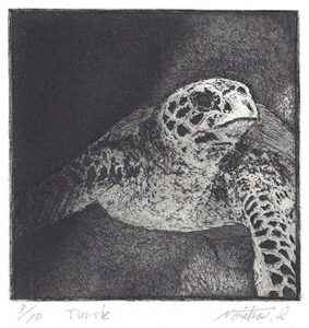 Noriko Iwata : «Turtle»