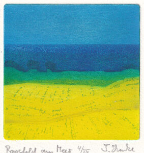 Timo Ehmke : «Rapsfeld am Meer»