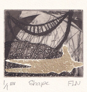 Francesca La Nave : «Shape»