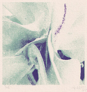 Lourdes Figuera Vidal : «Germinant – I»