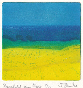Timo Ehmke : «Rapsfeld am Meer»